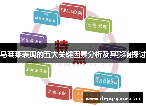 马莱莱表现的五大关键因素分析及其影响探讨